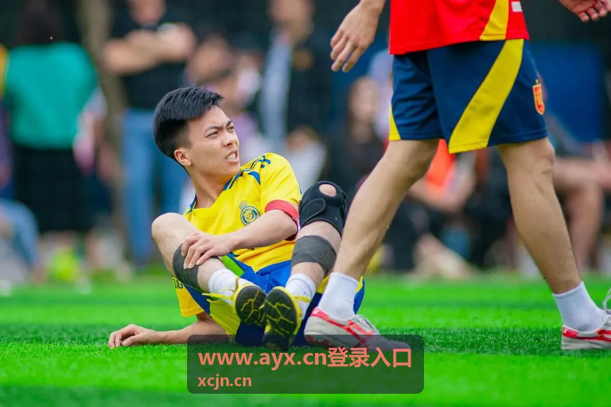 www.ayx.cn登录入口 页面指引配图