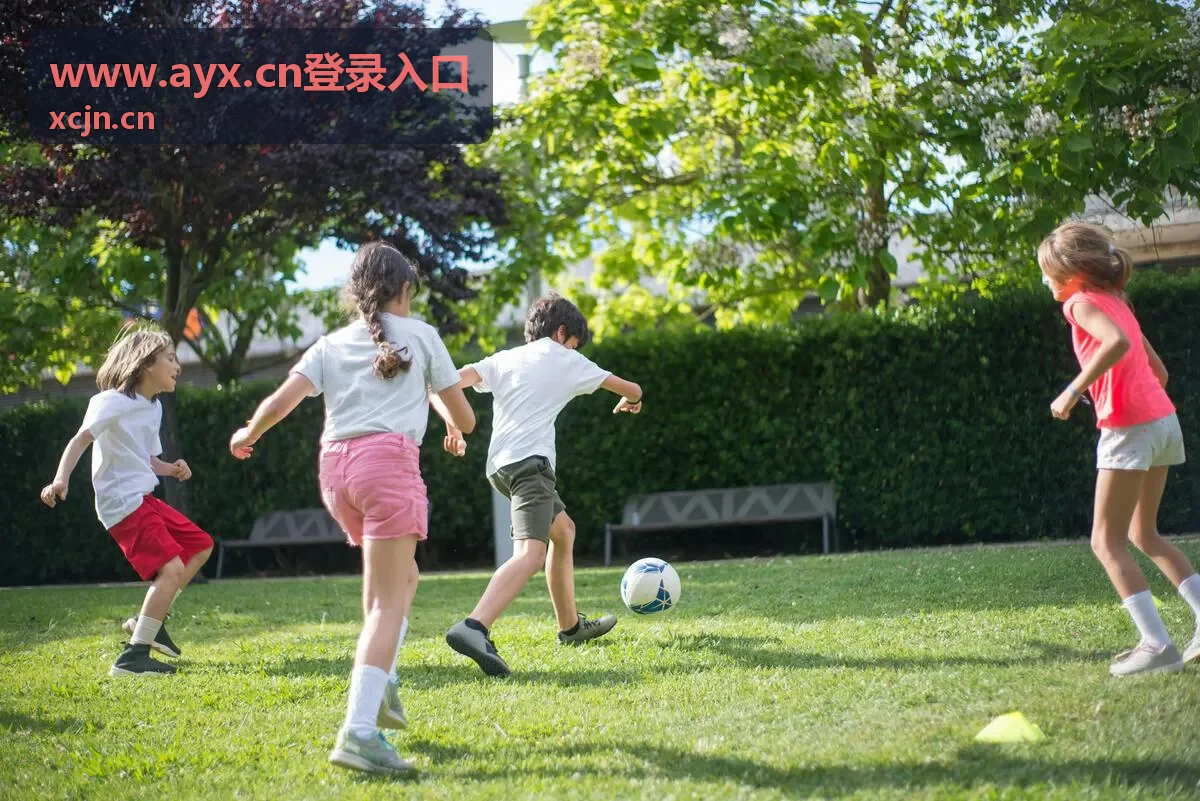手机浏览器打开AYX登录入口的操作示意