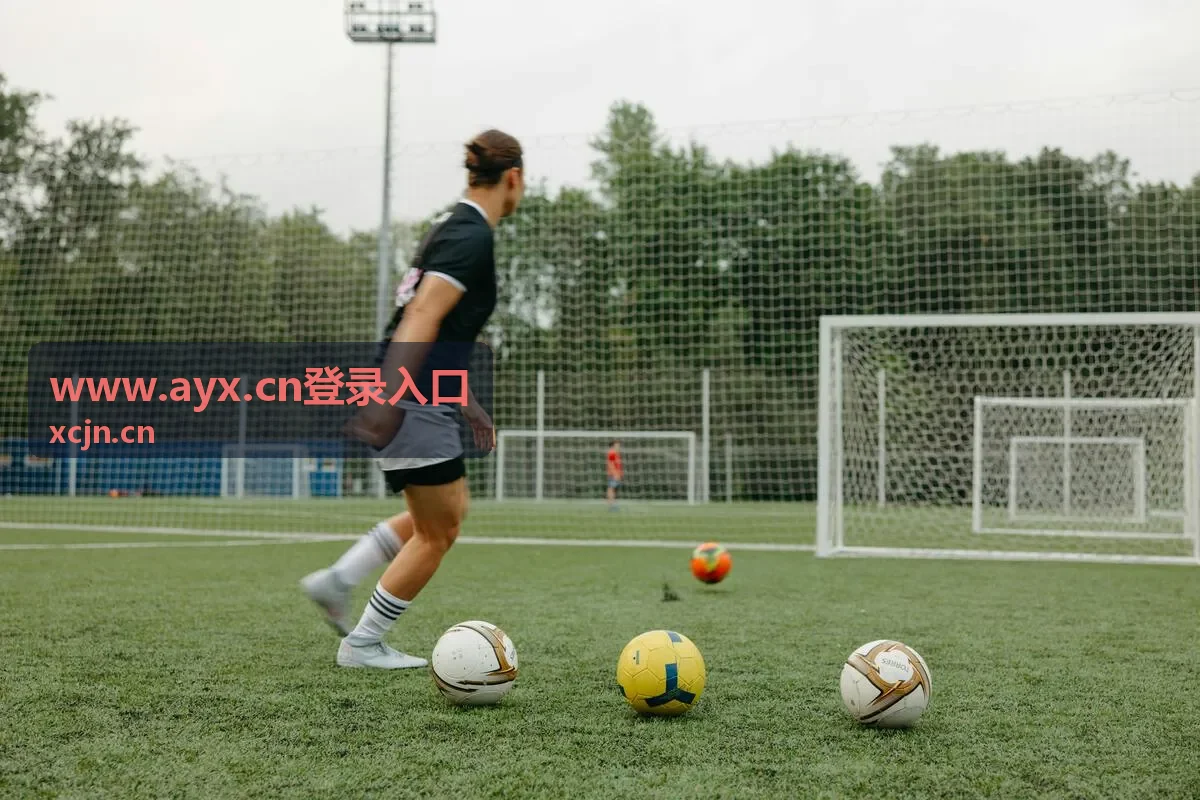 AYX登录入口团队账号开通对接准备示意